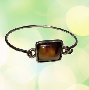 Vintage Sterling Silver And "Tortoise Shell"  Bangle Bracelet With Hook Closure